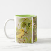 Yellow Warbler Coffee Tasse (Links)