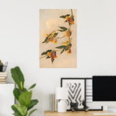Yellow Warbler - Joseph B. Kidd Fine Art Poster (Heimbüro)