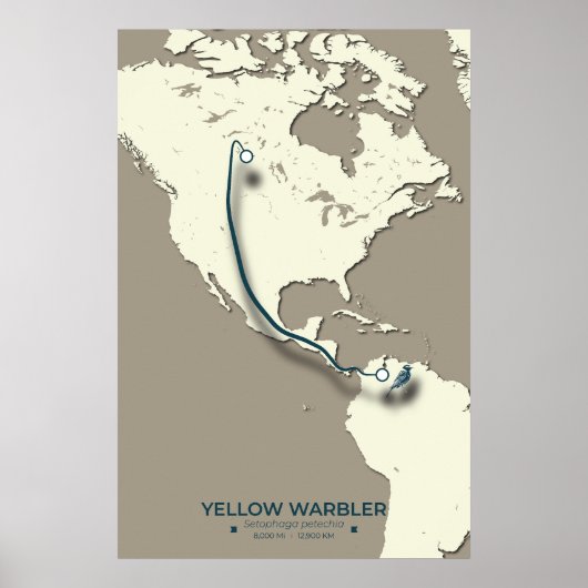 Yellow Warbler Migration Map - Minimalistisch Vint Poster (Vorne)