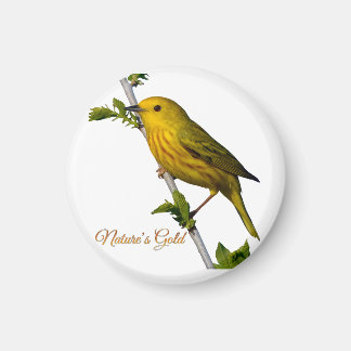 Yellow Warbler "Nature's Gold" Magnet