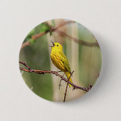 Yellow Warbler Singing Button (Vorderseite)