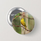 Yellow Warbler Singing Button (Vorne & Hinten)