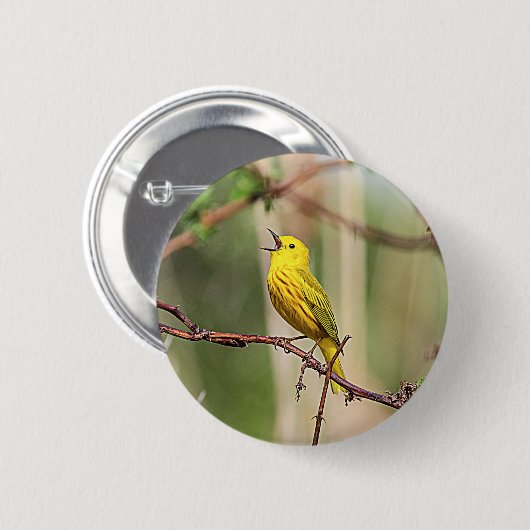 Yellow Warbler Singing Button (Vorne & Hinten)