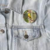 Yellow Warbler Singing Button (Beispiel)