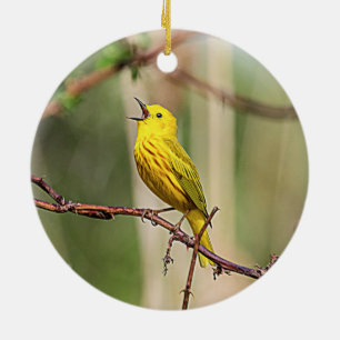 Yellow Warbler Singing Keramik Ornament