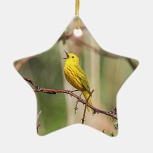 Yellow Warbler Singing Keramikornament