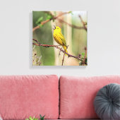 Yellow Warbler Singing Leinwanddruck (Insitu (Wohnzimmer))