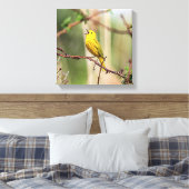 Yellow Warbler Singing Leinwanddruck (Insitu (Schlafzimmer))