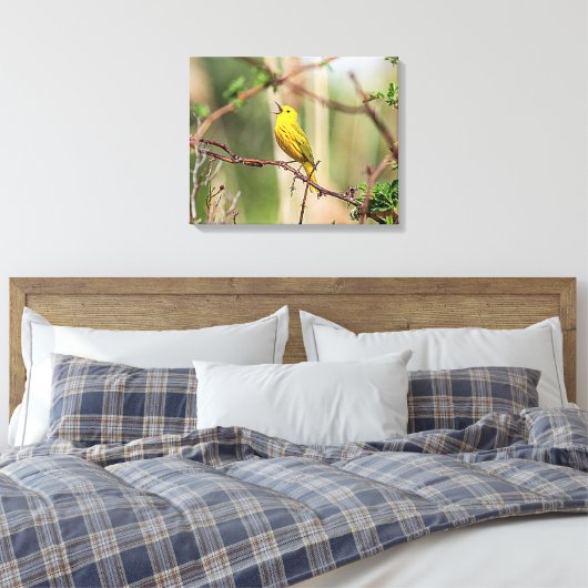 Yellow Warbler Singing Leinwanddruck (Insitu (Schlafzimmer))
