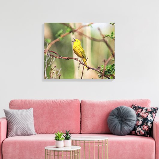 Yellow Warbler Singing Leinwanddruck (Insitu (Wohnzimmer))