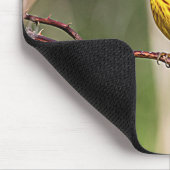 Yellow Warbler Singing Mousepad (Ecke)