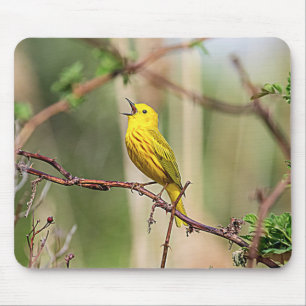 Yellow Warbler Singing Mousepad