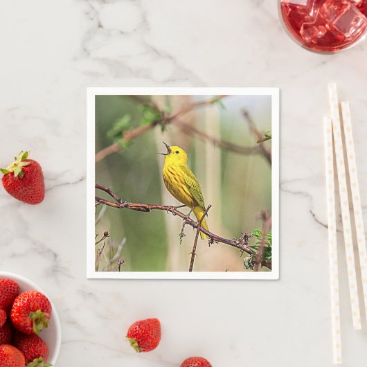 Yellow Warbler Singing Serviette (Beispiel)