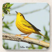 Yellow Warbler Untersetzer (Vorderseite)