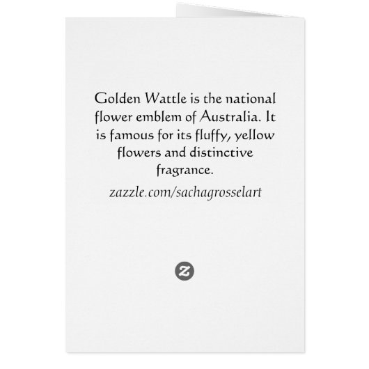 Yellow Wattle, australische Blume (Hinten)