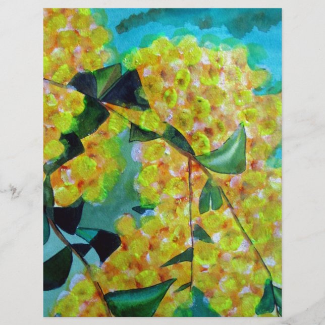 Yellow Wattle, australische Blume (Vorderseite)