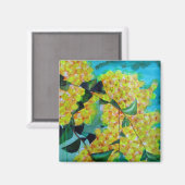 Yellow Wattle - australischer Kunstmagnet für die  Magnet (Vorderseite/Rückseite)