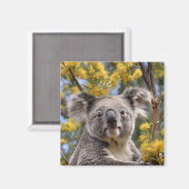 Yellow Wattle Koala Bear, Magnet (Vorderseite/Rückseite)