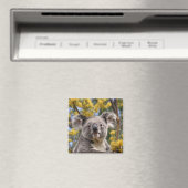 Yellow Wattle Koala Bear, Magnet (In Situ (Geschirrspüler))