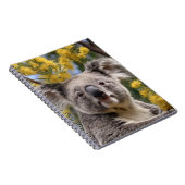 Yellow Wattle Koala Bear, Notizblock (Rechte Seite)
