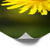 Yellow Wild Blume Foto Poster (Ecke)