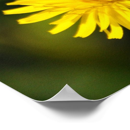 Yellow Wild Blume Foto Poster (Ecke)