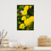 Yellow Wild Blume Foto Poster (Küche)