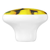 YELLOW WINTER SQUASH KERAMIKKNAUF (Seitenansicht)