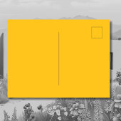 Yellow Zia Sun Puro Nuevo Mexiko Postkarte