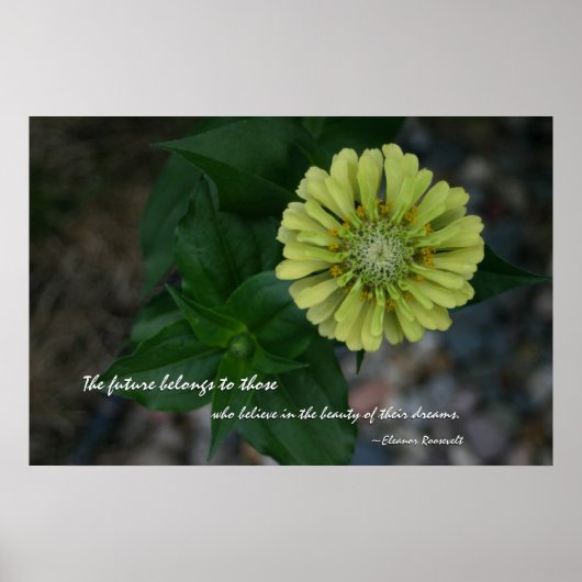 Yellow Zinnia mit Zitat von Eleanor Roosevelt Poster (Vorne)