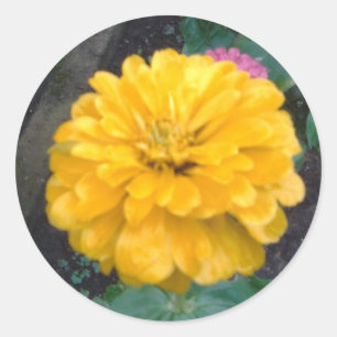 Yellow Zinnia Runder Aufkleber