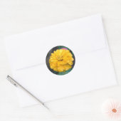 Yellow Zinnia Runder Aufkleber (Umschlag)