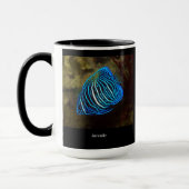 Yellowbar angelfish tasse (Links)