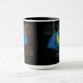 Yellowbar angelfish tasse (Zentrum)