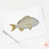 Yellowfin Bream Rechteckiger Aufkleber (Umschlag)