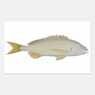 Yellowfin Bream Rechteckiger Aufkleber