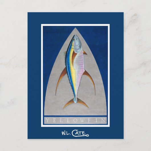 Yellowfin Postkarten (Vorderseite)