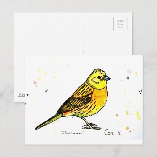 Yellowhammer Postkarte (Vorne/Hinten)