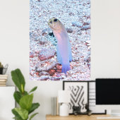 Yellowhead Jawfish mit Mouthful Poster (Heimbüro)