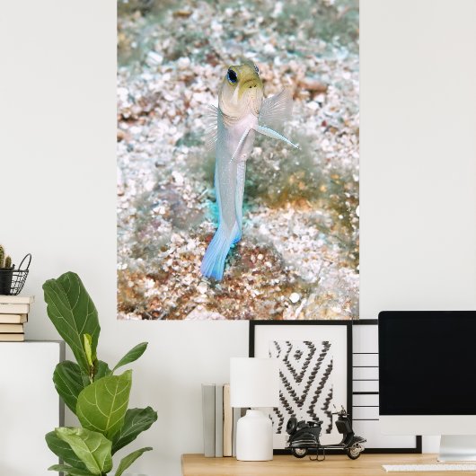 Yellowhead Jawfish Poster (Heimbüro)