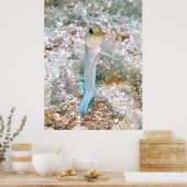 Yellowhead Jawfish Poster (Küche)