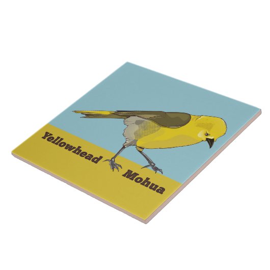 Yellowhead Mohua Fliese (Seite)