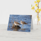 Yellowlegs-Foto-Karte Karte (Gelbe Blume)
