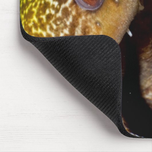 Yellowmargin Mousepad (Ecke)