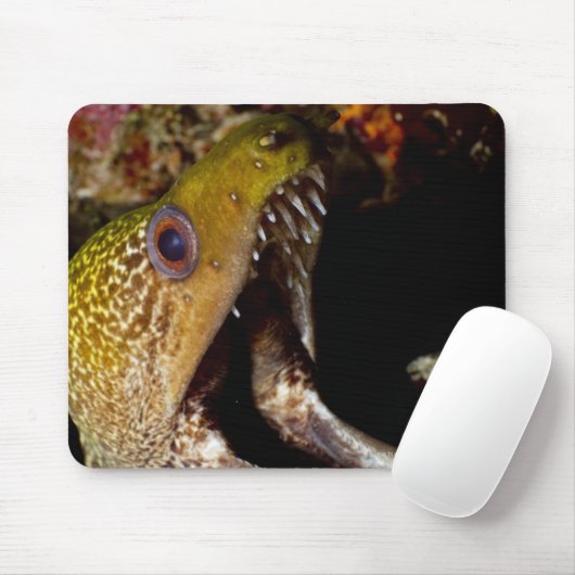 Yellowmargin Mousepad (Mit Mouse)