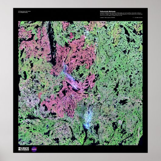 Yellowmesser-Feuchtgebiete Poster (Vorne)