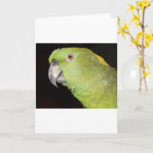 Yellownape Amazon Karte (Gelbe Blume)