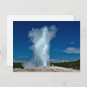 Yellowstone Altes treues Foto Postkarte (Vorne/Hinten)