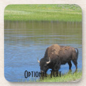 Yellowstone American Bison in Pond Getränkeuntersetzer (Vorderseite)