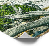 Yellowstone Angel Terrasse im Nationalpark Poster (Ecke)